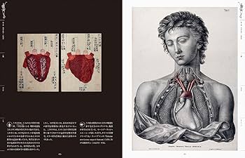 Amazon.co.jp: 世界の人体解剖図集-美しく不可思議な人体解剖学